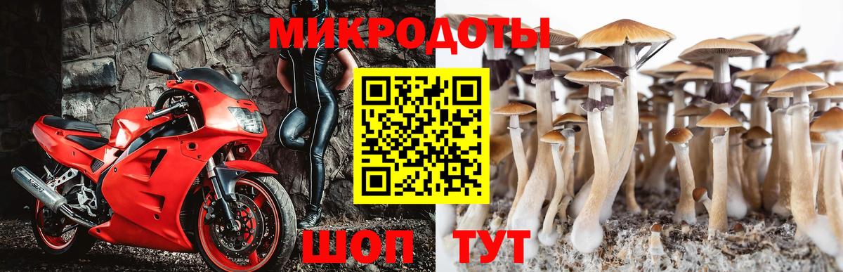 Вятские Поляны  Псилоцибиновые грибы Cubensis  Галлюциногенные грибы Magic Shrooms  Вход с VPN 