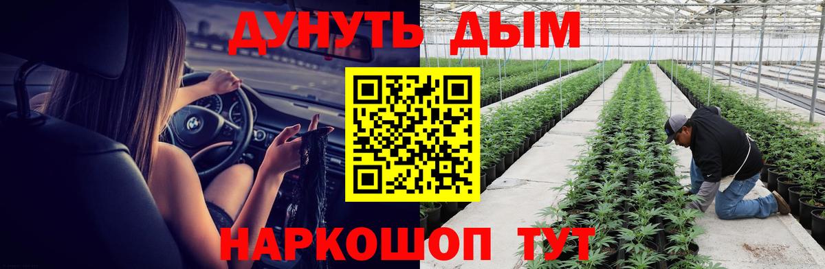 Конопля марихуана Вятские Поляны